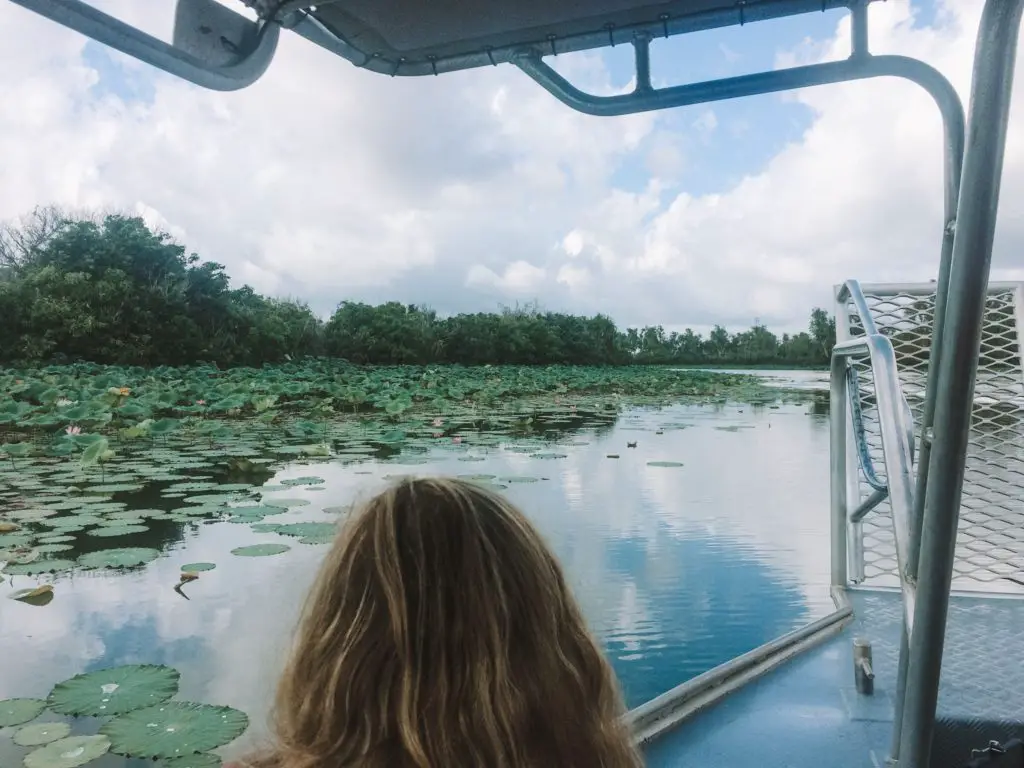 croc boat ride