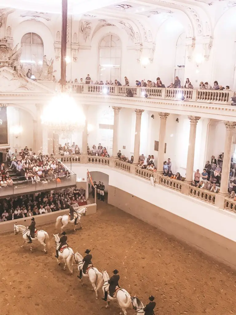 Spanish Riding School horses performing in Vienna