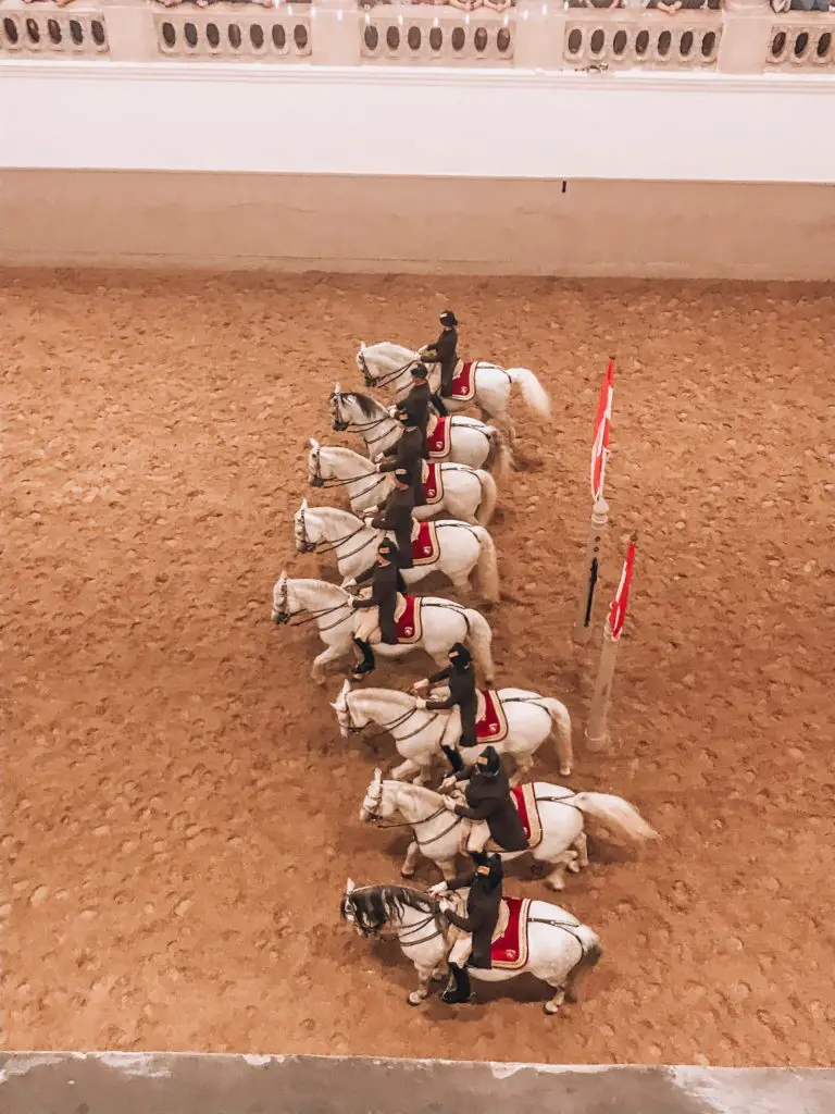 Spanish Riding School Vienna horses performing